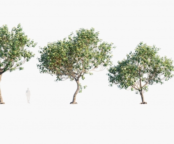 Modern Tree-ID:729506028