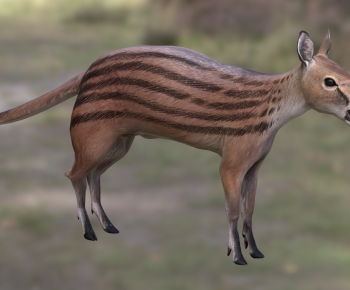 Modern Mammal-ID:569447043