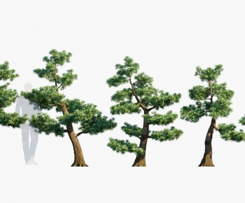 Modern Tree-ID:650780923