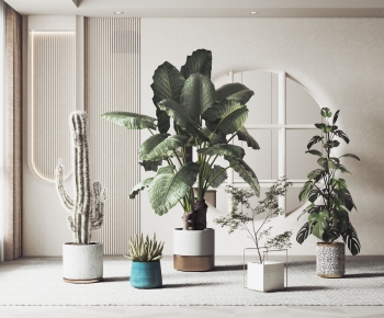 Modern Ground Green Plant Potted Plants-ID:929281954