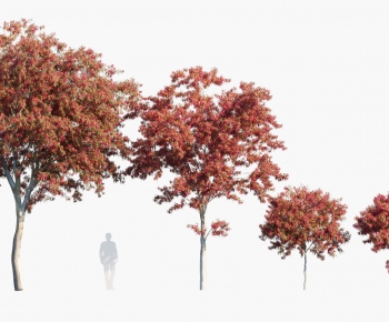 Modern Tree-ID:933748961