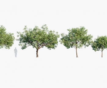 Modern Tree-ID:171874055