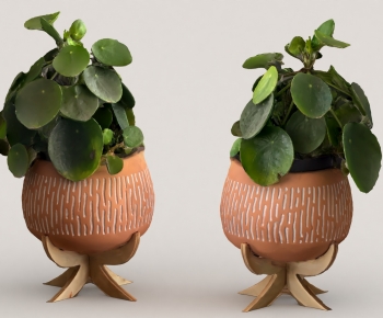 Modern Potted Green Plant-ID:797934069