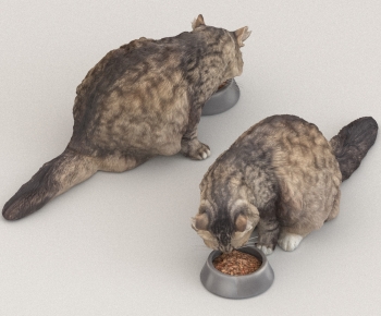 Modern Animal Cat-ID:149071935