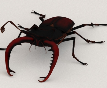 Modern Other Animals-ID:789280899