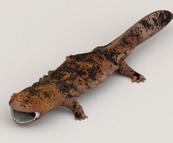 Modern Aquatic Animals-ID:811479097