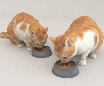 Modern Animal Cat-ID:403604032