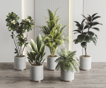 Modern Ground Green Plant Potted Plants-ID:382020955