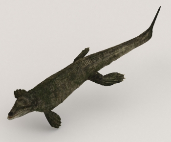 Modern Aquatic Animals-ID:786828048