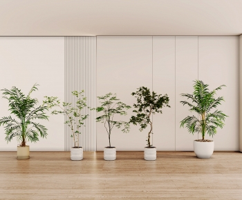 Modern Ground Green Plant Potted Plants-ID:226224907