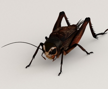 Modern Other Animals-ID:356138943