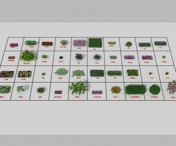 Modern Plant-ID:408081057