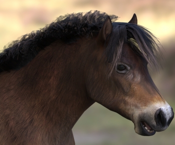 Modern Animal Horse-ID:504662995