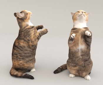 Modern Animal Cat-ID:788383963