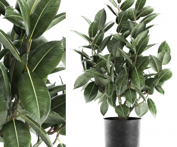 Modern Ground Green Plant Potted Plants-ID:460319535