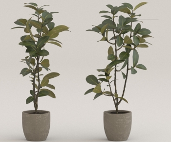 Modern Ground Green Plant Potted Plants-ID:914787051