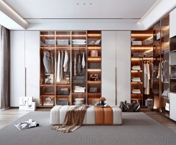 Modern Clothes Storage Area-ID:495404962