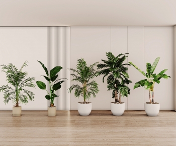 Modern Ground Green Plant Potted Plants-ID:583046913