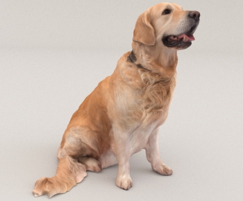 Modern Animal Dog-ID:579375034