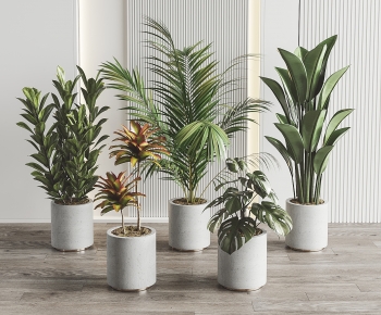 Modern Ground Green Plant Potted Plants-ID:922713041