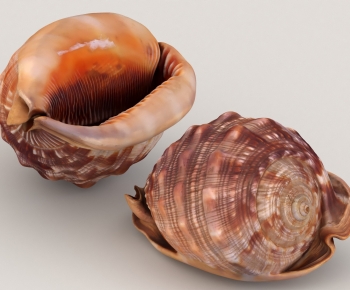 Modern Aquatic Animals-ID:361536037