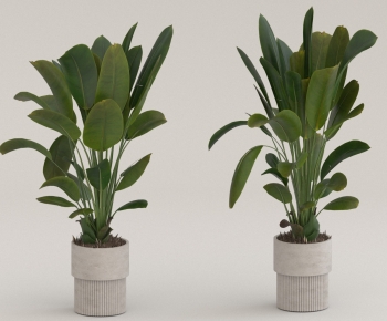 Modern Ground Green Plant Potted Plants-ID:863330467