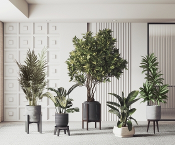 Modern Ground Green Plant Potted Plants-ID:655145881