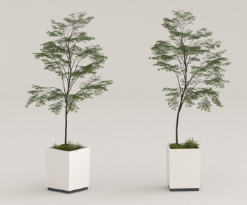 Modern Ground Green Plant Potted Plants-ID:797606957