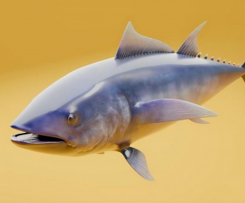 Modern Aquatic Product-ID:996439593