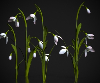 Modern Flowers And Grass-ID:696352013