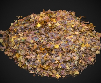 Modern Other-ID:832465896