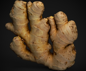 Modern Vegetables-ID:613193046