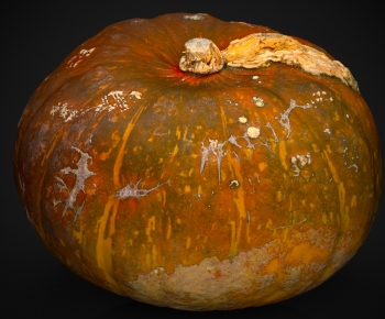 Modern Vegetables-ID:259299372