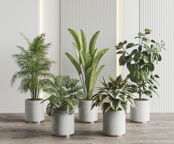 Modern Ground Green Plant Potted Plants-ID:568468092