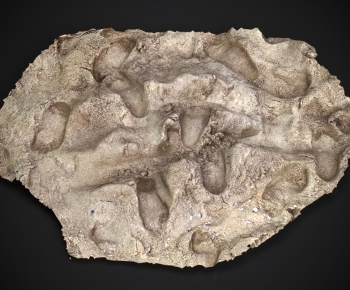 Modern Stone-ID:855479006