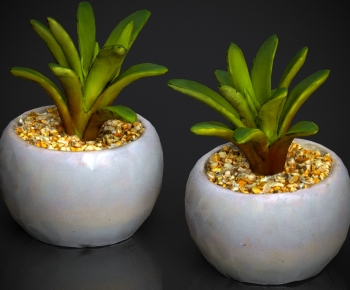 Modern Potted Green Plant-ID:555696016