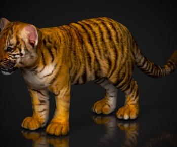 Modern Mammal-ID:574376119