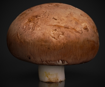 Modern Vegetables-ID:313247926