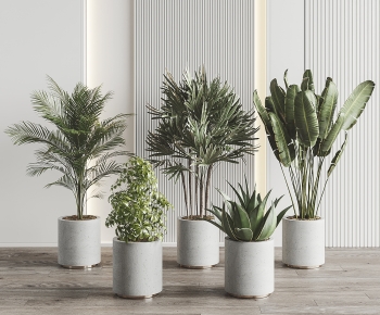 Modern Ground Green Plant Potted Plants-ID:423080929