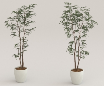 Modern Ground Green Plant Potted Plants-ID:389472011