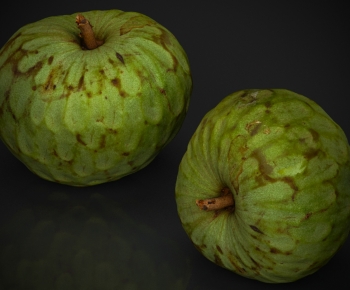 Modern Fruit-ID:242719897