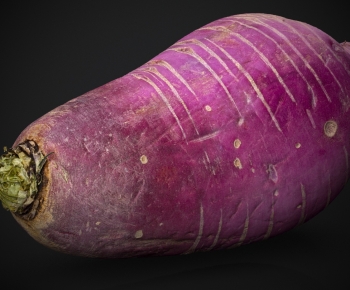 Modern Vegetables-ID:411911966