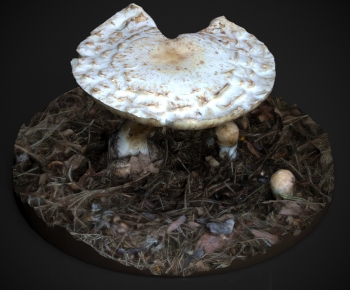 Modern Vegetables-ID:766972062