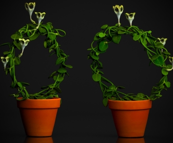 Modern Potted Green Plant-ID:556380993