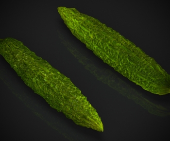 Modern Vegetables-ID:232806925