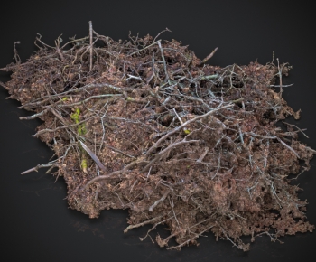 Modern Wood-ID:812553881