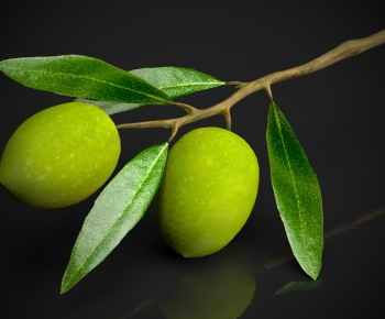 Modern Fruit-ID:490911961