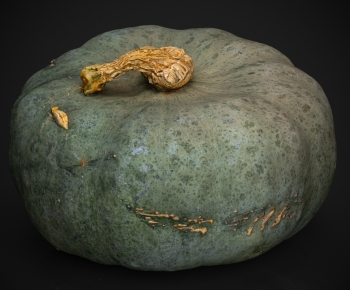 Modern Vegetables-ID:438048887