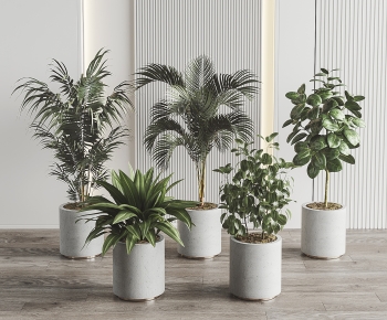 Modern Ground Green Plant Potted Plants-ID:678082944