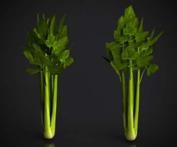Modern Vegetables-ID:296736962
